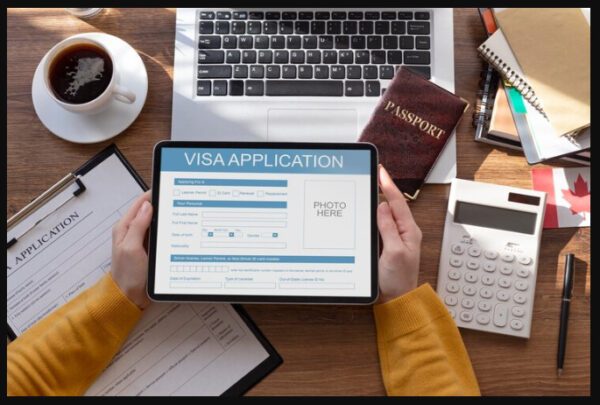 Guide For Applying Indian E Visa Indian E Visa Application